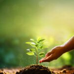 Agriculture and plant nurseries